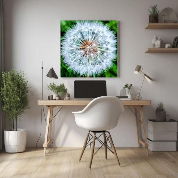 Pusteblume #1 – Bild 2